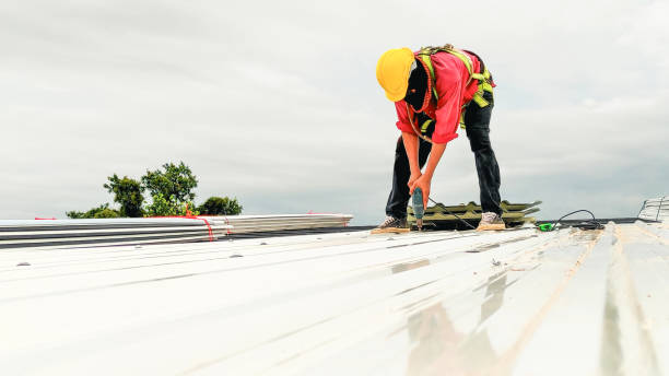 Best Flat Roofing  in , MT