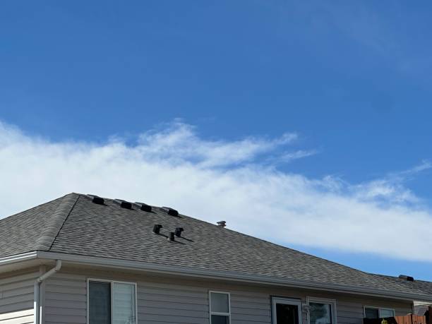 Best Emergency Roof Repair Services  in , MT
