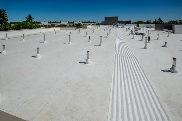 Best Roof Insulation Installation  in , MT